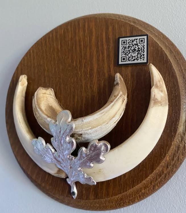 Pack Découverte – 50 plaques QR